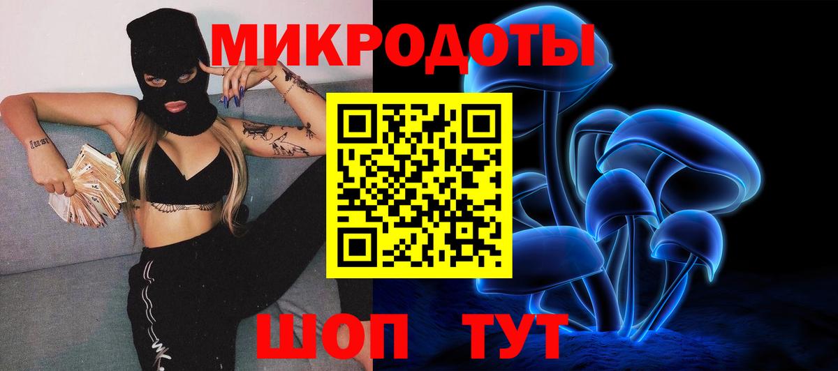 Галлюциногенные грибы Psilocybe Алушта